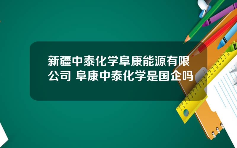 新疆中泰化学阜康能源有限公司 阜康中泰化学是国企吗